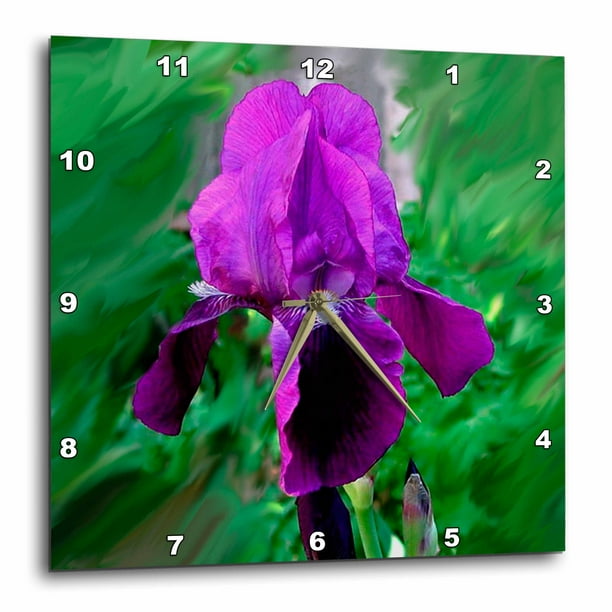 dpp_4121_1 3dRose Flowers Purple Irises 10x10 Wall Clock dpp_4121_1 3dRose Flowers Purple Irises 10x10 Wall Clock